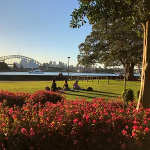 3. Royal Botanic Garden